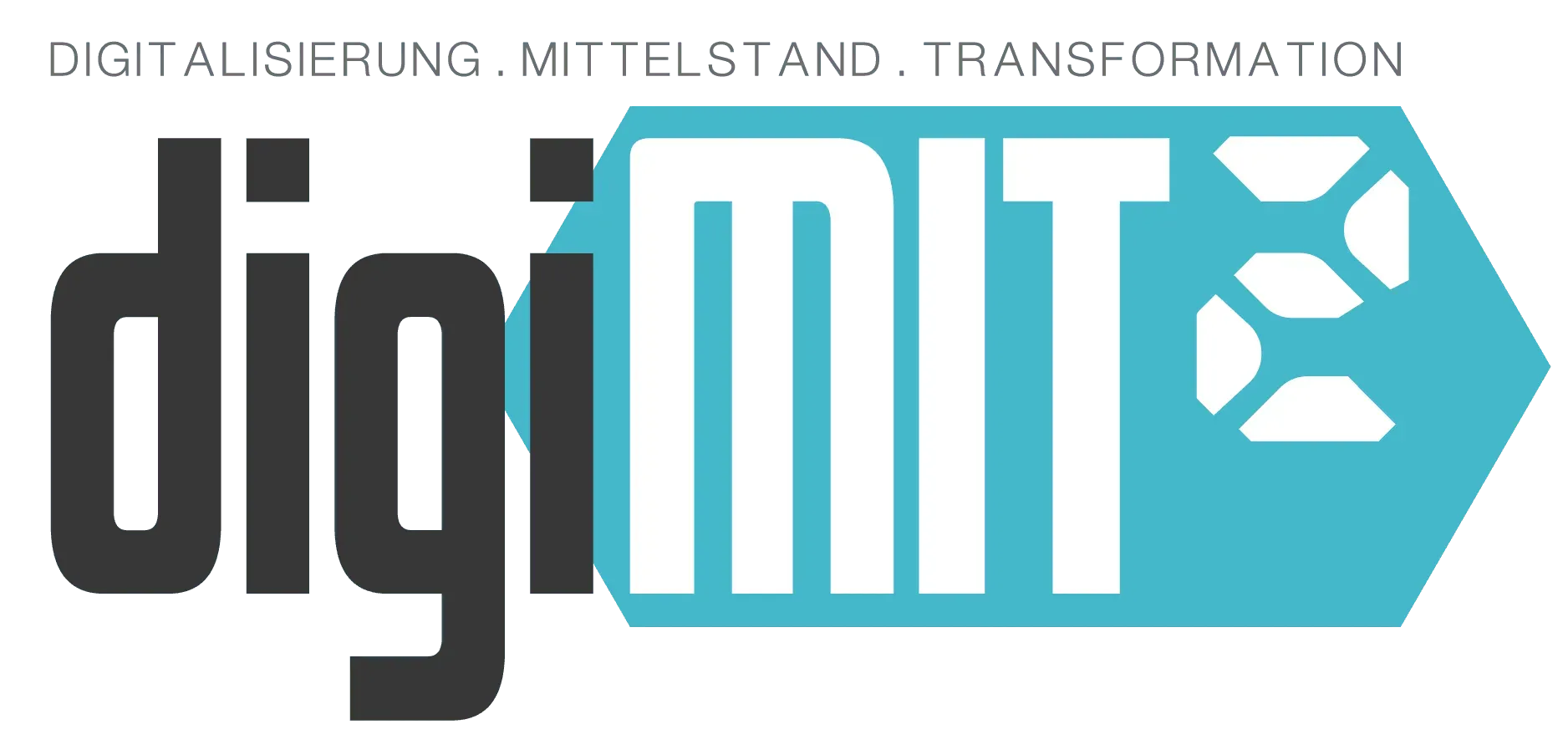 DigiMit2