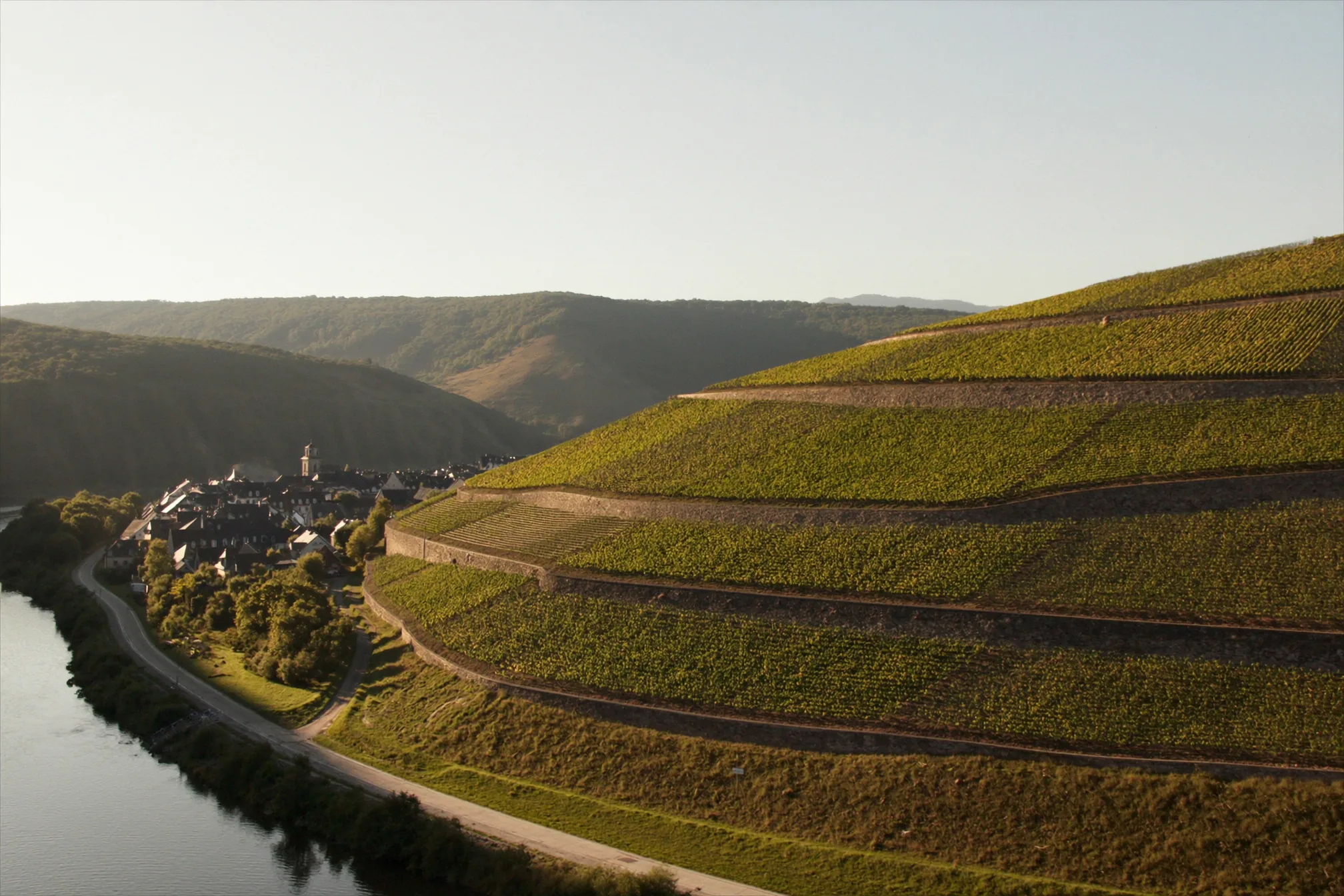 Fotorealistische Ansicht der steilen Weinbergterrassen im Ahrtal über einer Flussschleife der Ahr im Abendlicht, ein Dorf mit Kirchturm am Hangfuß, im Hintergrund bewaldete Höhenzüge.