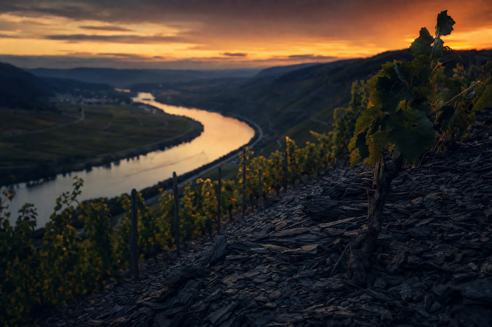 Steile Schieferweinberge über einer Moselschleife in der Abenddämmerung